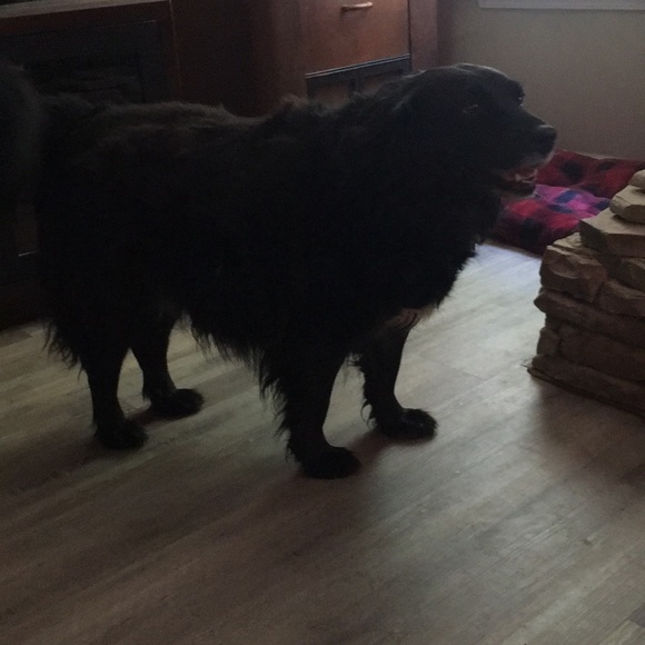 Meet your Posher, Heather - Picture 1 of 1